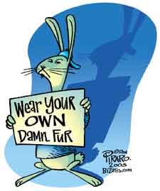 Dan Piraro, Bizarro author